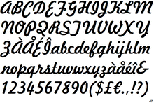 Load image into Gallery viewer, Stainless Steel ID Horsehair Bracelet