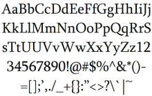 Load image into Gallery viewer, Stainless Steel ID Horsehair Bracelet